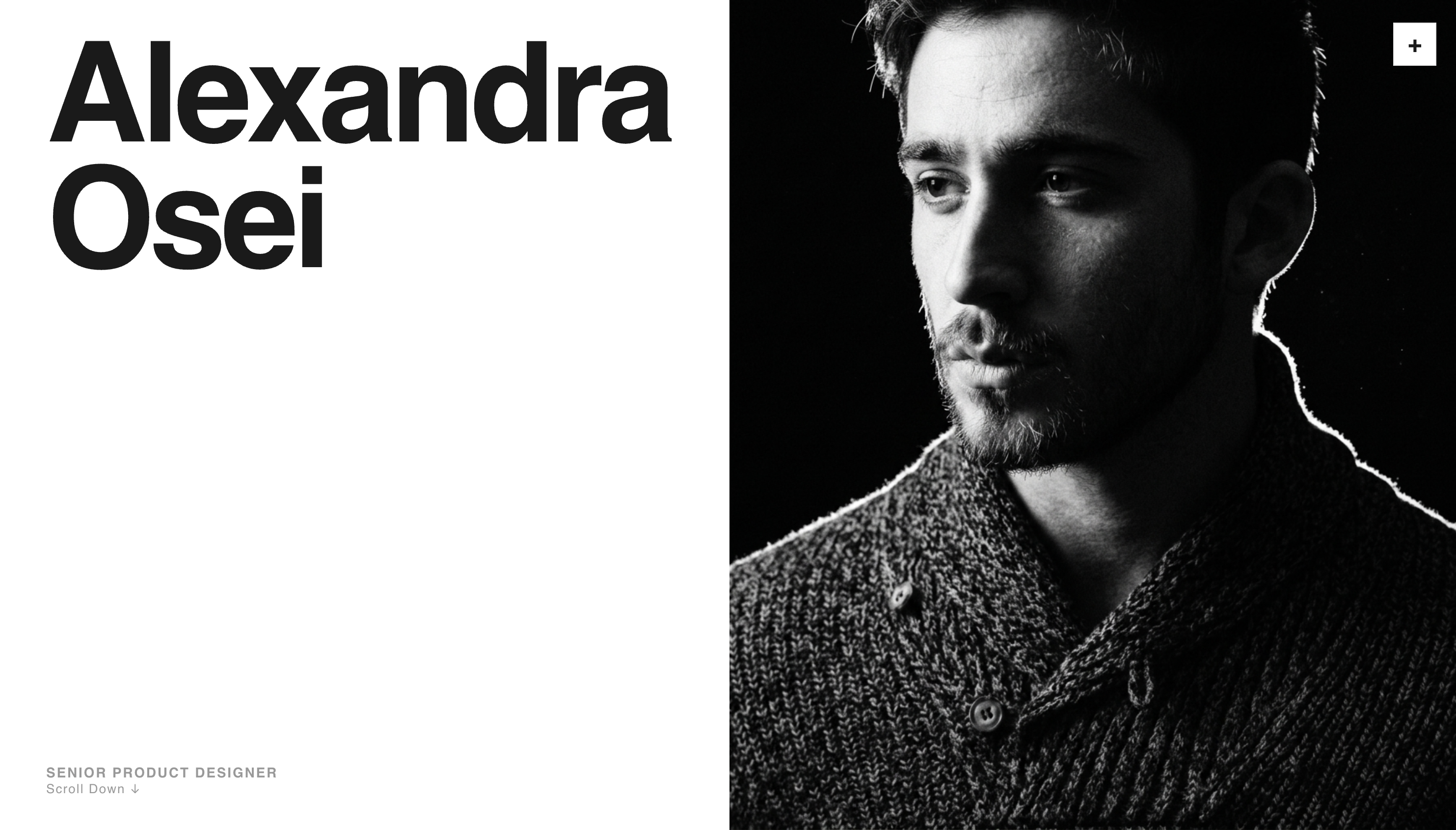 Folio template preview